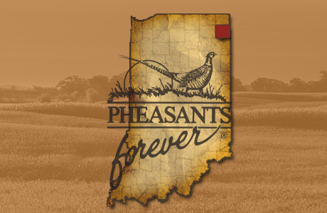 About The Chapter About The Chapter